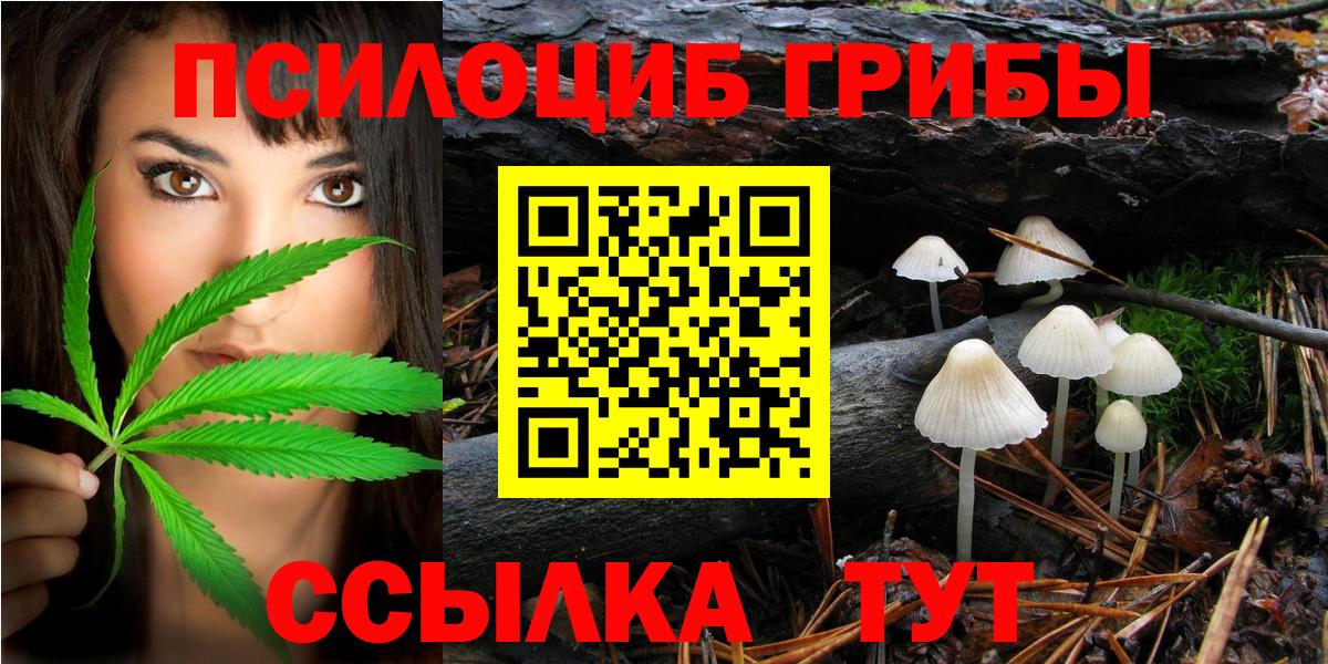 Псилоцибиновые грибы MAGIC MUSHROOMS  Галлюциногенные грибы Psilocybine cubensis  Вход с VPN  Екатеринбург 