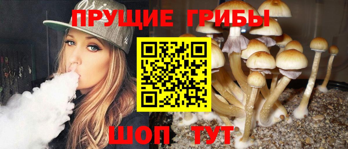 Галлюциногенные грибы прущие грибы Екатеринбург